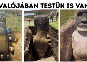 18 érdekesség, mely bebizonyítja, hogy oly keveset tudunk még a világról