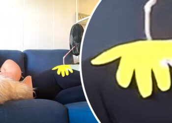 17 jól célzott felvétel, mely azonnal megolvasztja az introvertált emberek szívét