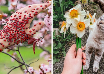 Az emberek lefotózták, hogy milyen a tavasz szerte a világon