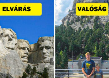 15 személy, aki hosszú utat tett meg, hogy fantasztikus fényképet készítsen, de az életnek más tervei voltak