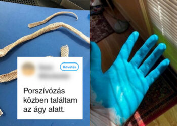 18 alak, akinek a napja hirtelen az élete legrosszabb napjává változott