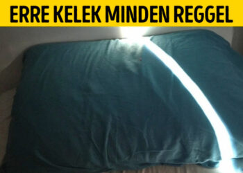 24 tárgy, amelyet valószínűleg a türelmünk tesztelésére találtak fel