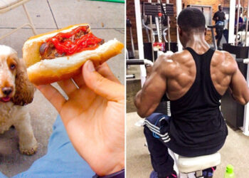 15 fotó, ami bizonyítja, hogy a irigység ezernyi formát és méretet ölthet