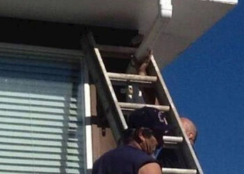 20 kép, amely jól mutatja, hogy mit jelent a végzetes hiba