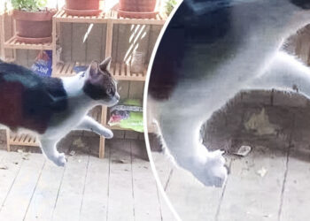 15+ felvétel, mely annyira titokzatos, mint egy szürrealista festmény