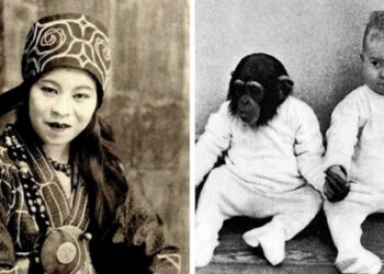 14 izgalmas tény, amiről biztos, hogy nem tanultál az iskolában