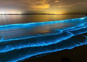 21 lélegzetelállító kép, nem túl gyakori dolgokról