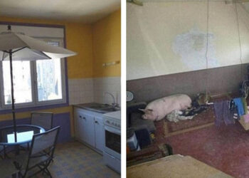 A 21 legfurcsább fénykép az ingatlanhirdetésekből: hogy fogják az emberek eladni ezeket a házakat?