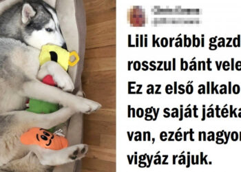 20+ állat, akik jóra nem számítottak, de az élet meglepte őket