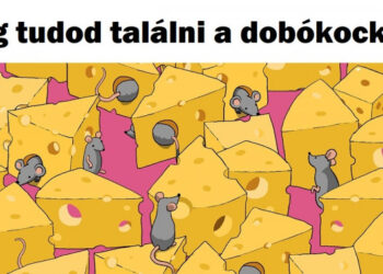 Teszt: Keresd meg az eldugott tárgyakat ezen a 15 képen