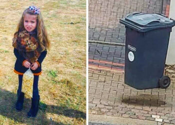 20+ fénykép, amelyet kétszer meg kellett néznünk, hogy megértsük