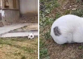 20 alak, akik meggyőződtek róla, hogy már a saját szemükben sem bízhatnak