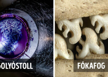 21 bizonyíték rá, hogy a dolgok látható része nem mindig tükrözi egy tárgy igazi tartalmát