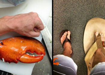 19 felvétel, mely bemutatja, hogy még az átlagos dolgok is lehetnek elképzelhetetlen méretűek