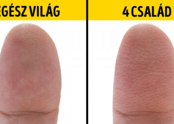 14 tudományos tény és válasz a legérdekesebb “miért” kérdésekre