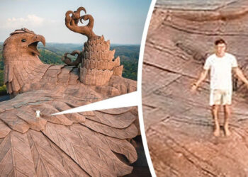 19 dolog és állat, amelynek a valódi méretétől kikerekedtek a szemeink