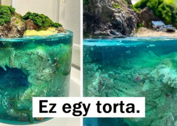 25 extrém valósághű torta, amelyek láttán eldobod az agyad