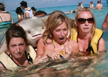 20 érdekes állatos kép, mely a legunalmasabb napot is képes feldobni