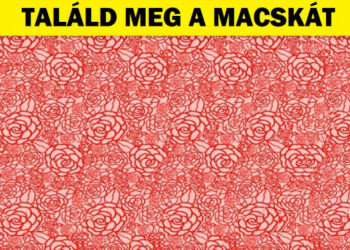 Teszt: Használd a sasszemed, hogy megtaláld a 3D képeken a rejtett alakokat