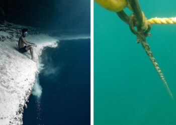 18 félelmetes fénykép a tengerről, mely után a saját fürdőkádadba is óvatosan szállsz majd bele