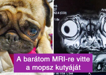 21 kép, mely segít abszolút új szemszögből felfedezni a világot