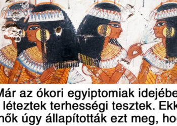 15 tény a világ minden tájáról, amely totálisan átírja a világról alkotott képedet