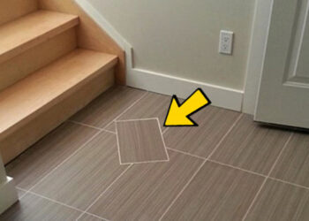 20 hülye hiba, mely felbosszantotta az embereket, mikor a padlóra néztek