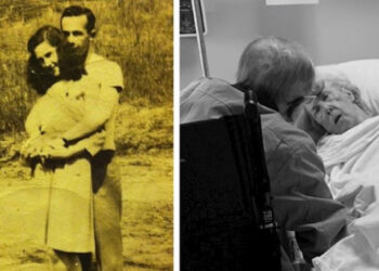 15 megható kép, amely valódi érzelmi lavinát fog elindítani benned