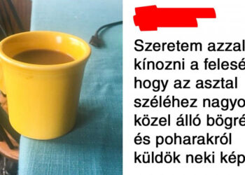 20 felvétel, mely bebizonyítja, hogy a házasság néha inkább olyan, mint egy háború