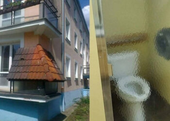 24 borzalmas munka, amelyet szakemberek végeztek és most rögtön elvennénk az engedélyüket