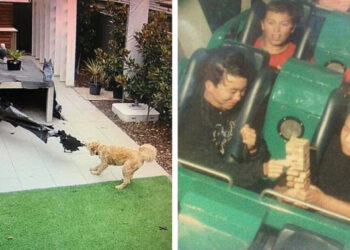 18 alkalom, mikor a biztonsági kamerák megismételhetetlen pillanatokat rögzítettek