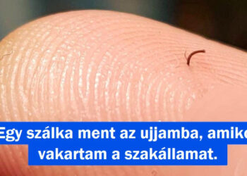 15+ fénykép, ami bemutatja, hogy milyen az, mikor bal lábbal kelsz fel