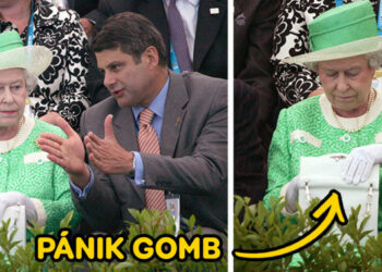 14 érdekes tény, amely külön epizódot érdemelne a Discovery Channel-en