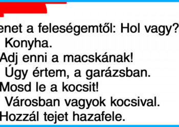 21 humoros Tweet, mely jól mutatja, hogy milyen bonyolult és összetett dolog egy házasság
