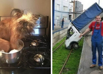 Ha azt hiszed, hogy borzalmas napod volt, akkor nézd meg, mi történt ezekkel a szerencsétlen emberekkel