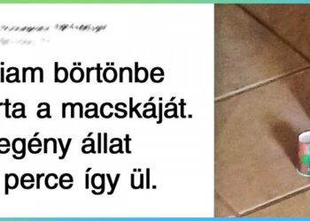 24 bizonyíték rá, hogy a szülők Shaolin szerzeteseket megszégyenítő türelemmel bírnak