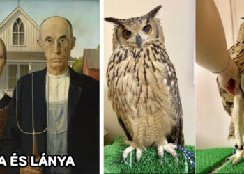 16 tény a minket körülvevő világról, amely az emberek 90%-ának meglepő újdonság lesz