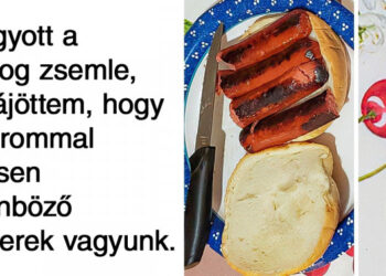 19 bizonyíték rá, hogy csak kétféle személy létezik a világon