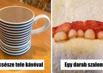 20 felvétel, ami totálisan összezavarja az elméd, amíg egy kicsit jobban meg nem nézed őket