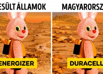 20+ érdekes tény, mely segít csillapítani a világgal kapcsolatos kíváncsiságodat