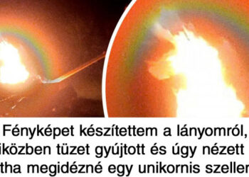 19 kép, mely első pillantásra totálisan megtéveszti a szemünket (és némelyik másodikra is)