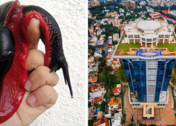 16 kép, mely láttán azonnal Photoshoppot kiáltasz, pedig ez a valóság