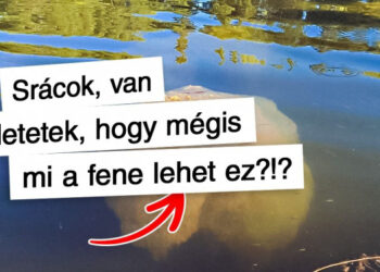 21 furcsa kép, amely láttán azonnal ki akarod Googlizni, hogy mi látható a képen