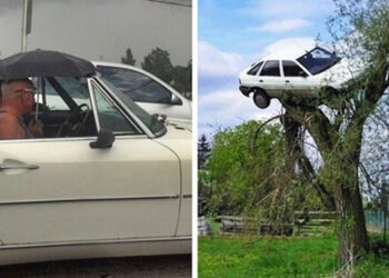 20 sofőr megosztotta a legfurcsább jeleneteket, amiket a volán mögött ülve láttak