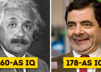 14 hollywoodi híresség, akik okosabbak, mint a Harvardon diplomázottak