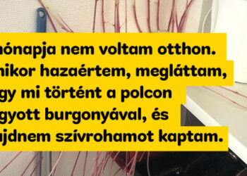19 növény, amely totálisan átír mindent, amit eddig a növényekről gondoltunk