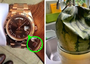 15 érdekes felfedezés, amely bebizonyítja, hogy a bolygó tele van meglepetésekkel