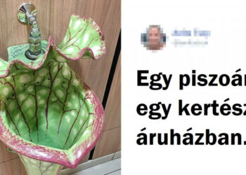 20+ megdöbbentő dolog, amely valóban létezik