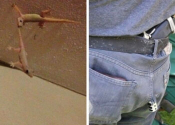 Ilyen dolgokat nem sűrűn látni: nézd meg, miket fényképeztek le ezek az emberek