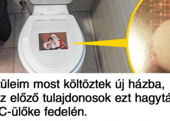 18 alkalom, mikor az emberek házvásárlás után váratlan meglepetésre bukkantak az előző tulajdonostól